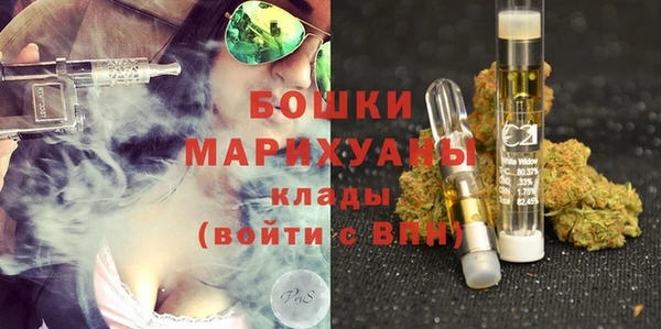 молекула духа Алзамай